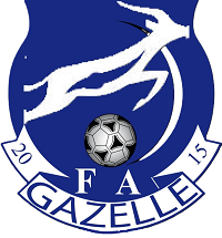 logo-team